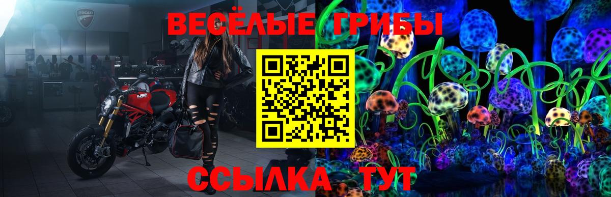Галлюциногенные грибы GOLDEN TEACHER Волжск